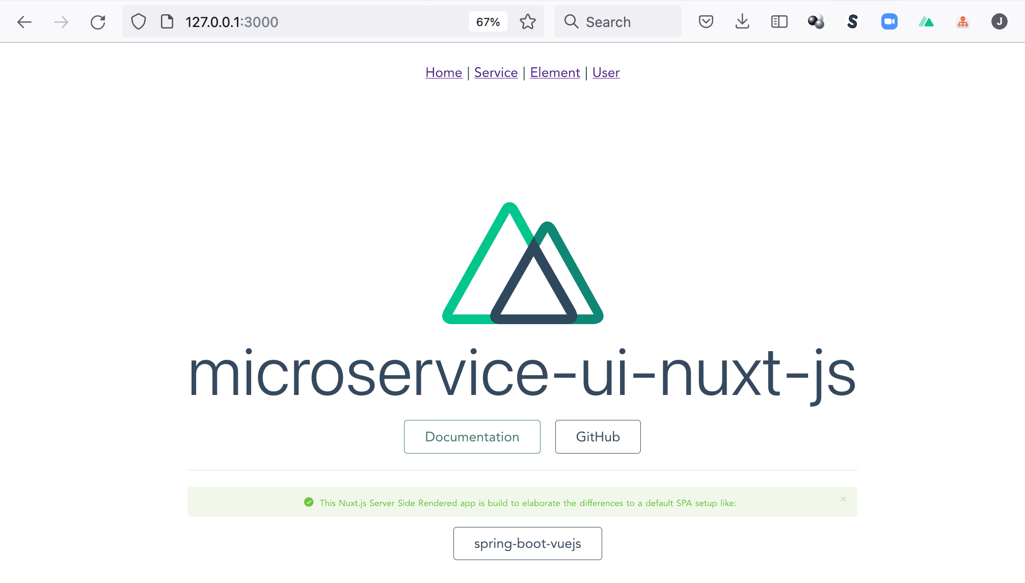 Nuxt.js app running in Development Container