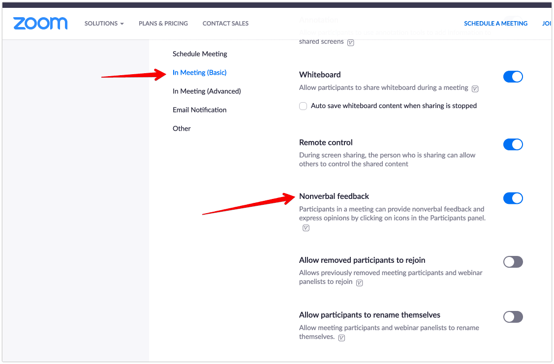 switch on "Nonverbal feedback" to simplify remote feedback in zoom workshops