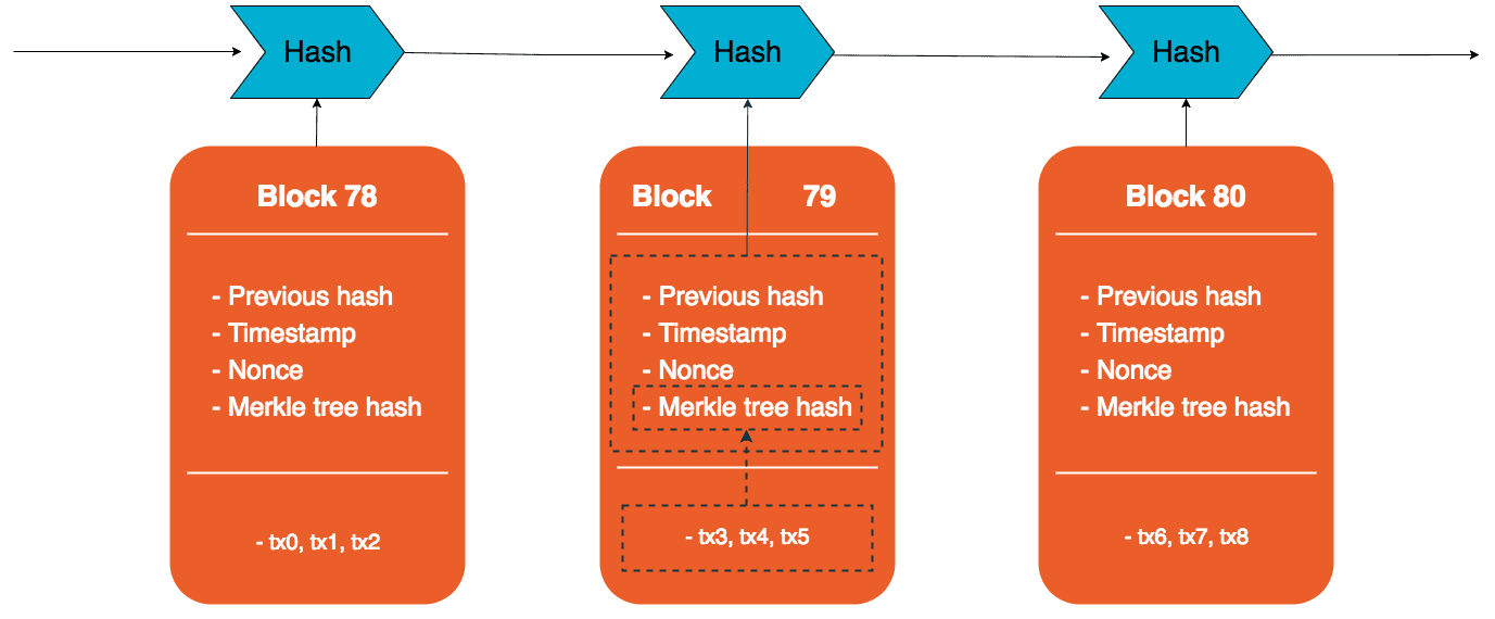 A blockchain consists of transactions and blocks that reference each other by hashing the previous one