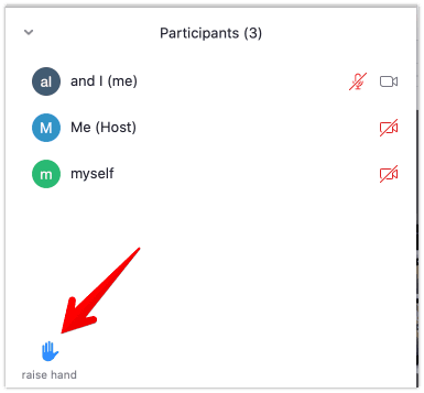 "Raise Hand" in Partcipants view