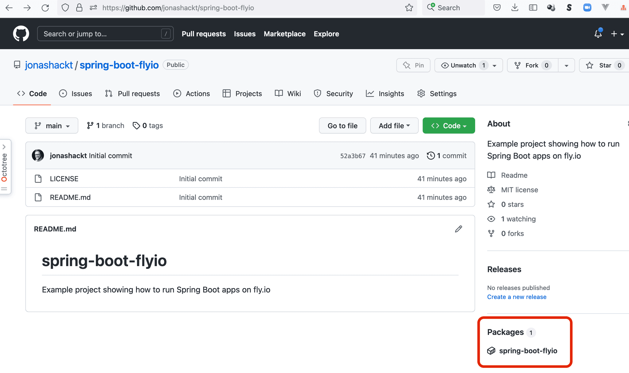 A package in the GitHub Container Registry