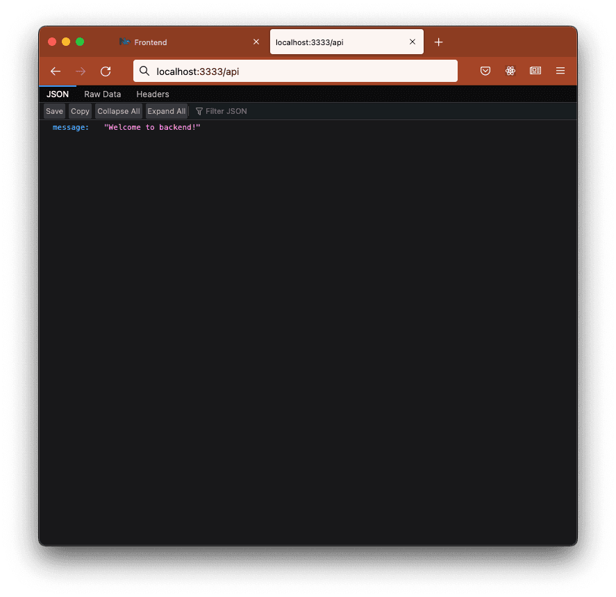 Starting the express app
