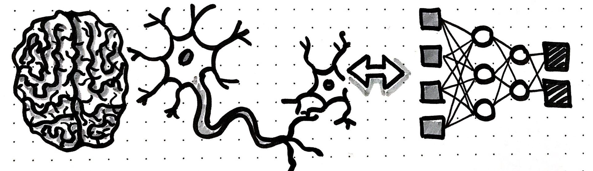 Gehirn vs Artificial Neural Network
