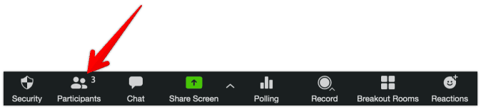 Click on "Participants" in "Meeting Controls"